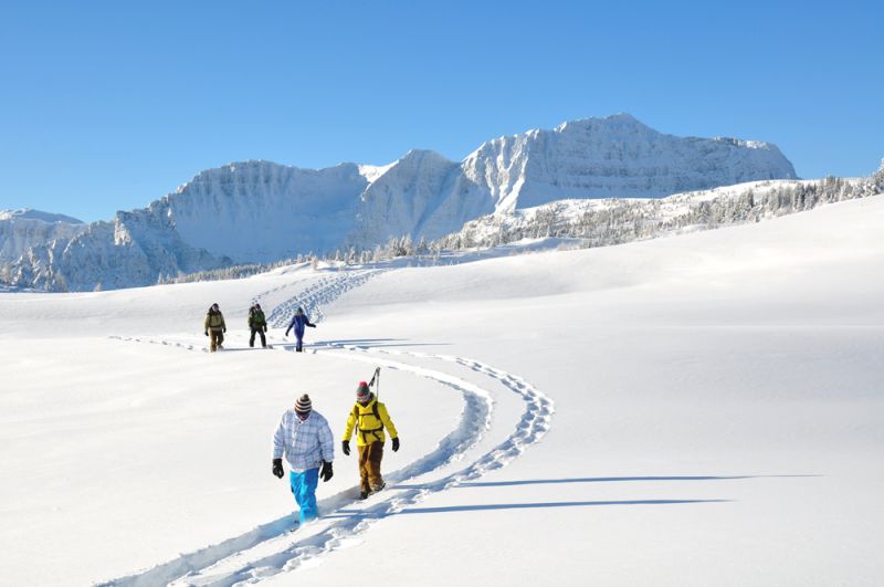Banff Snowshoeing Tour Sunshine Meadows on Top of The World